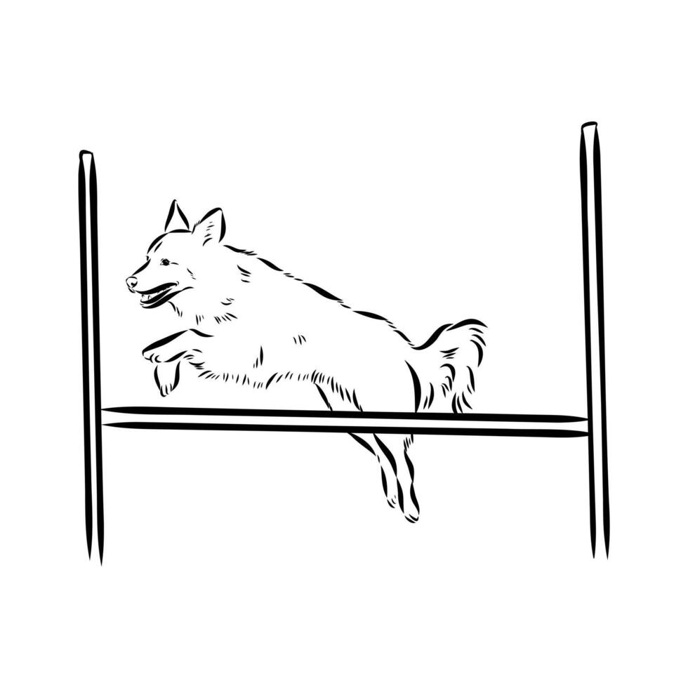 dog training sketch vector
