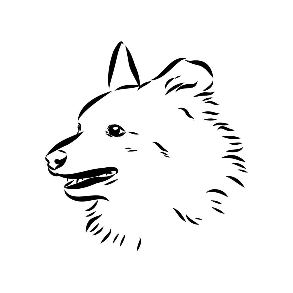 dog training sketch vector