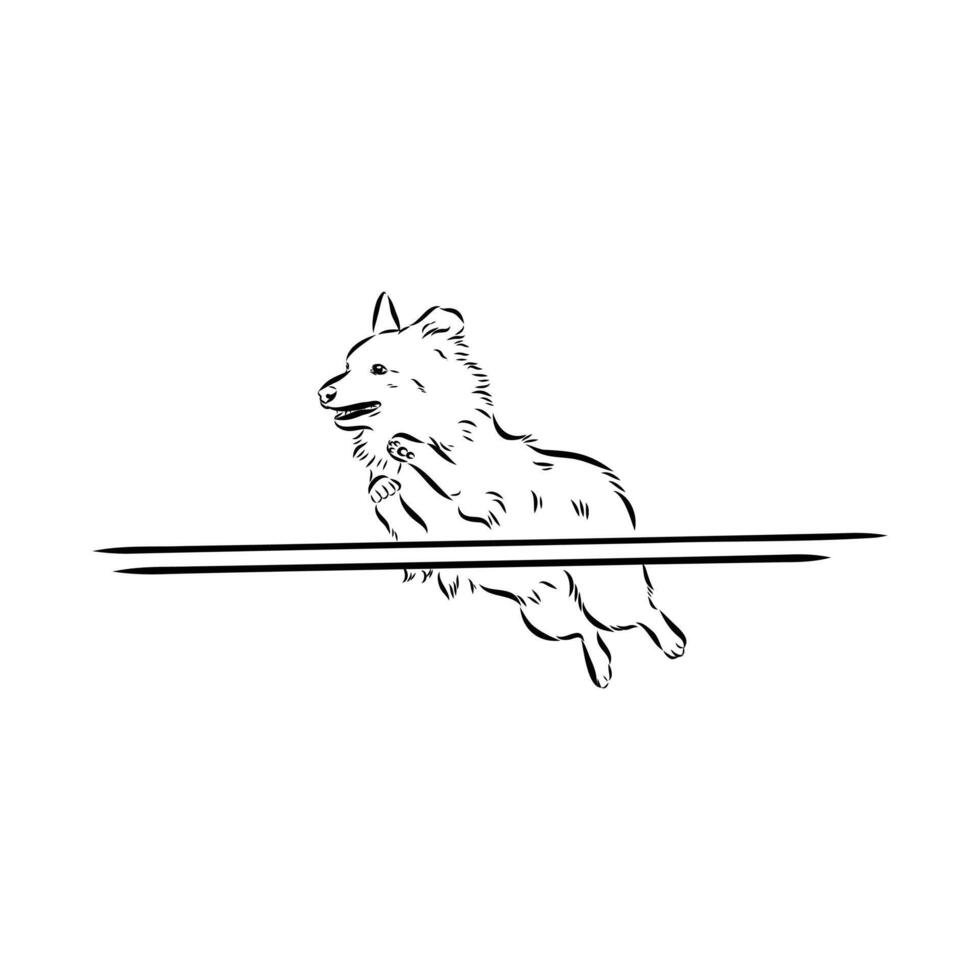 dog training sketch vector