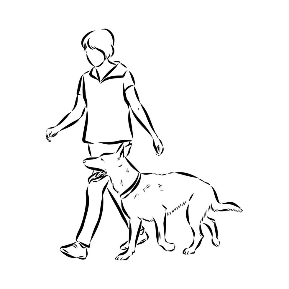dog training sketch vector