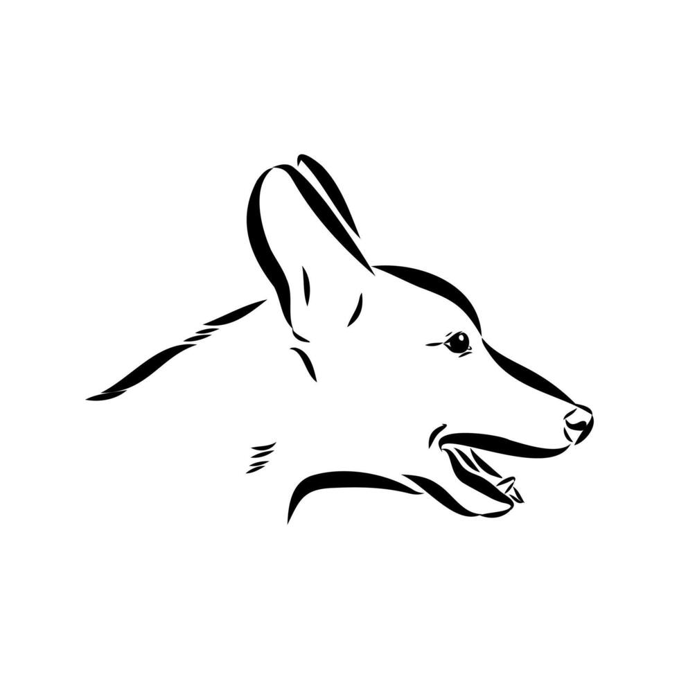 dog training sketch vector