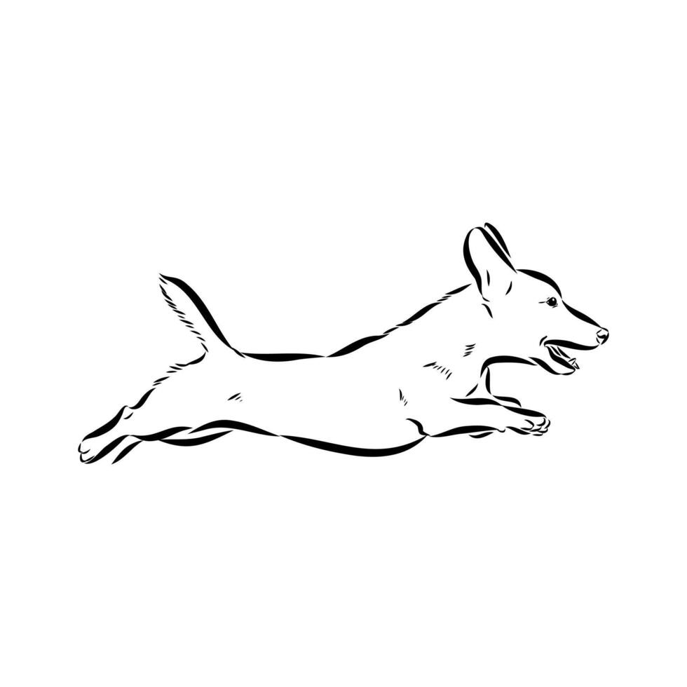dog training sketch vector