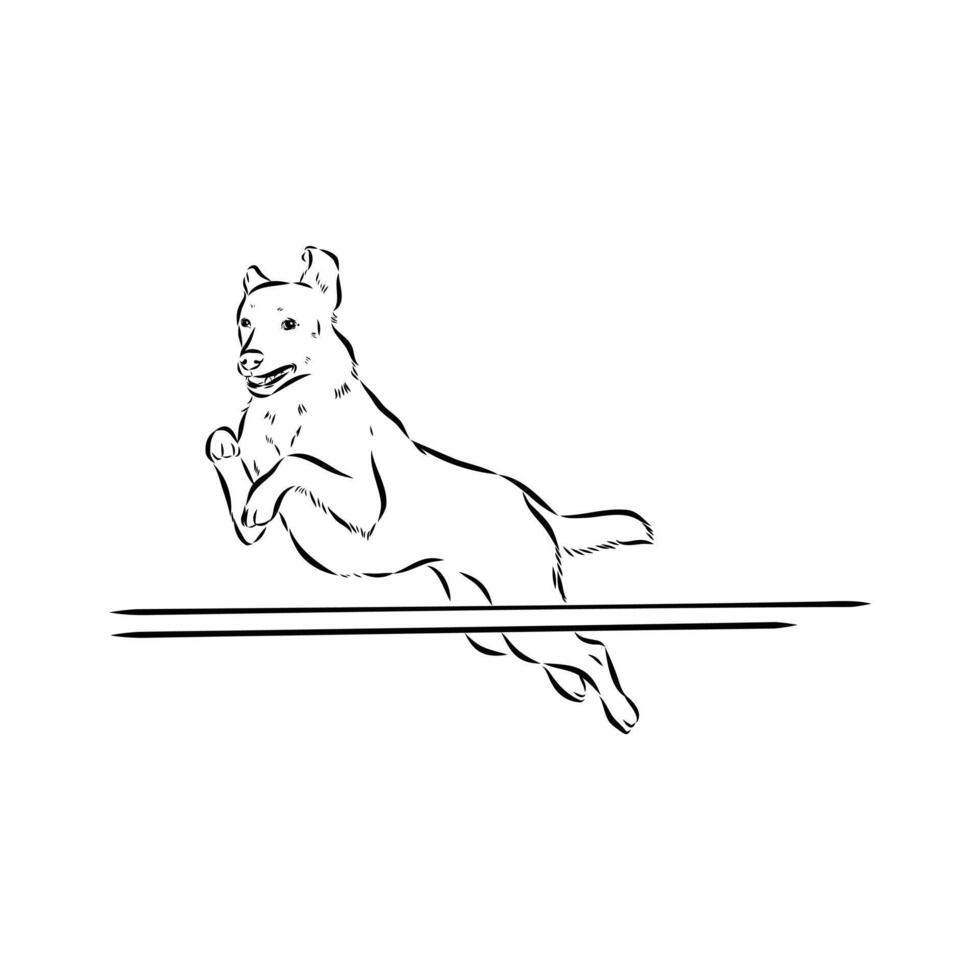 dog training sketch vector