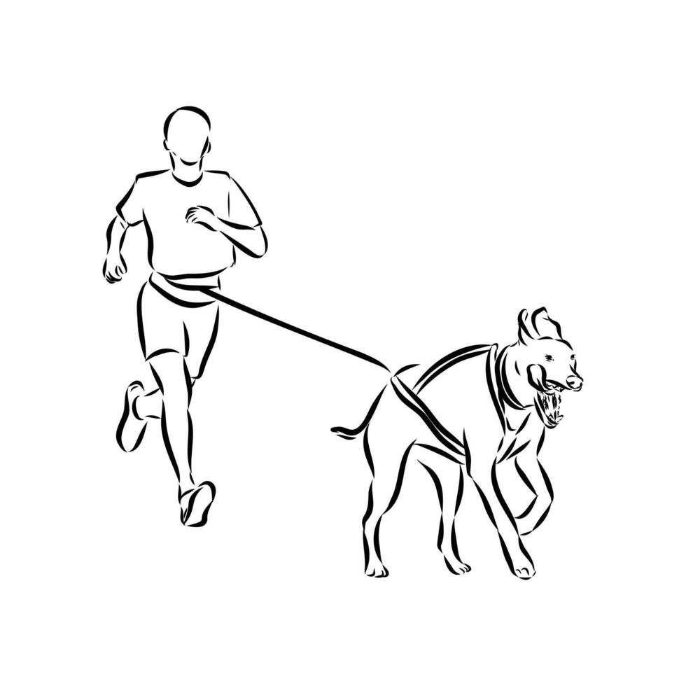 dog training sketch vector