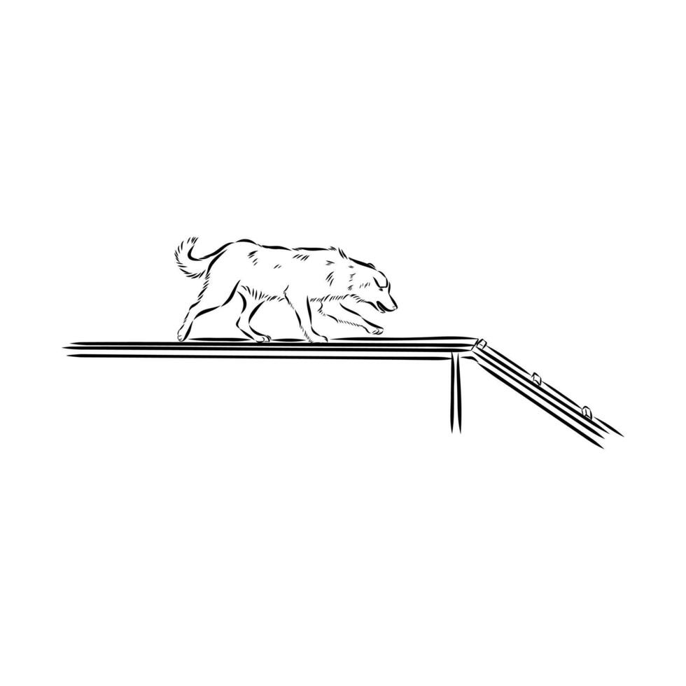 dog training sketch vector