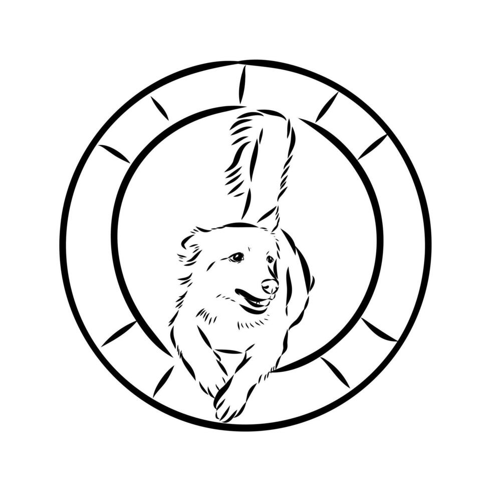 dog training sketch vector