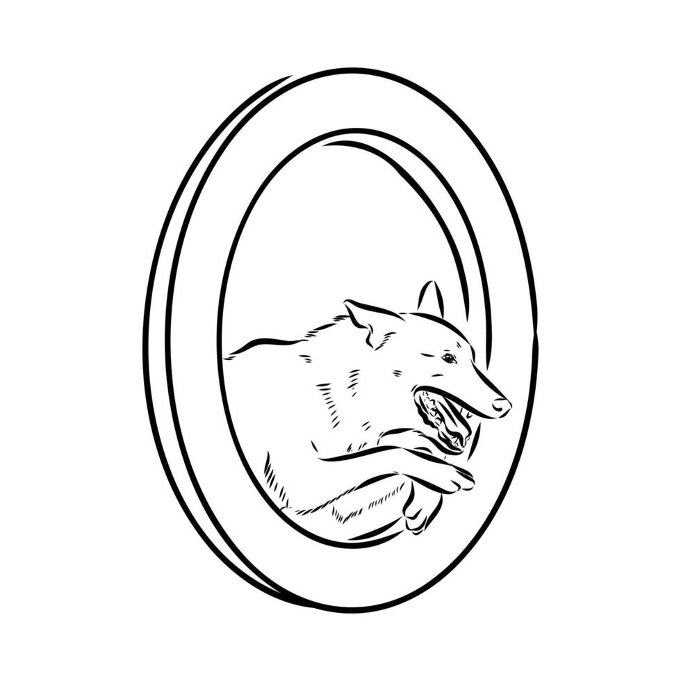 dog training sketch vector
