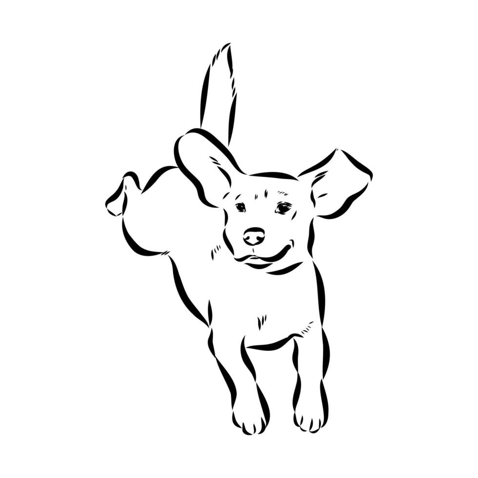 dog training sketch vector