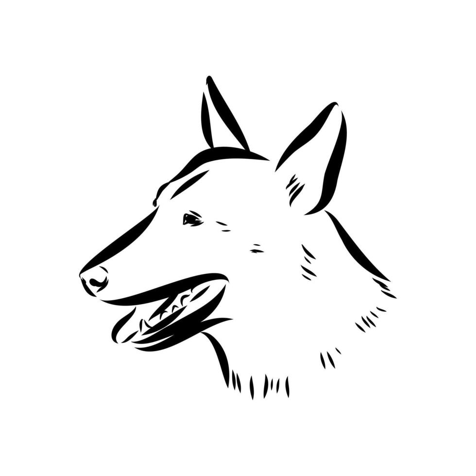 dog training sketch vector