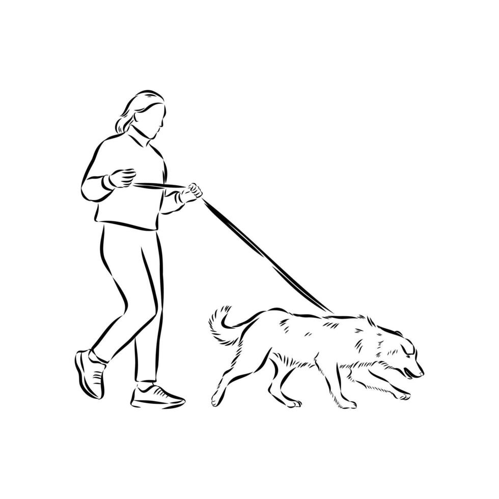 dog training sketch vector