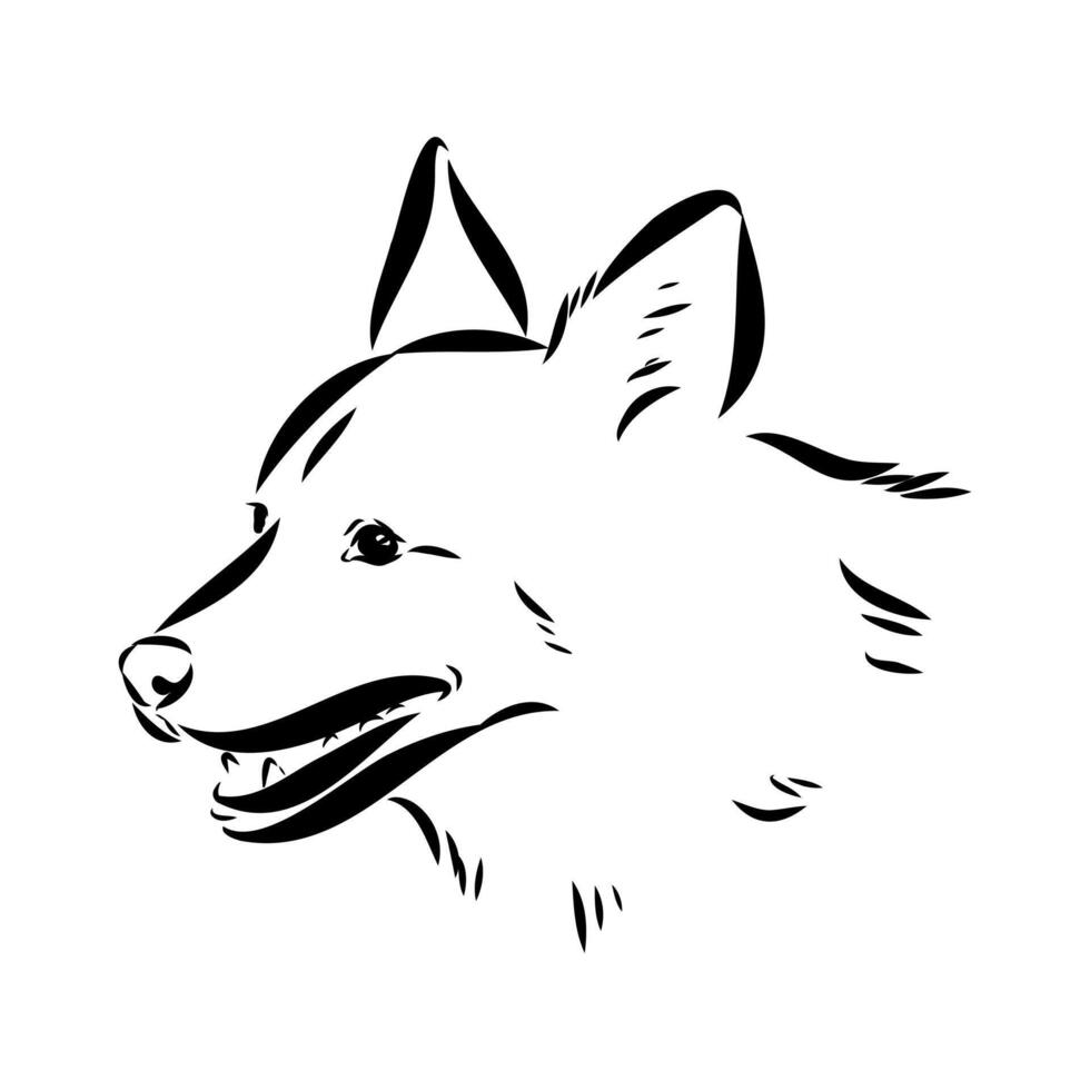 dog training sketch vector