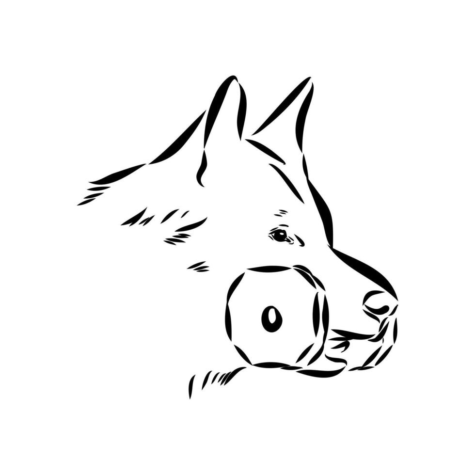 dog training sketch vector