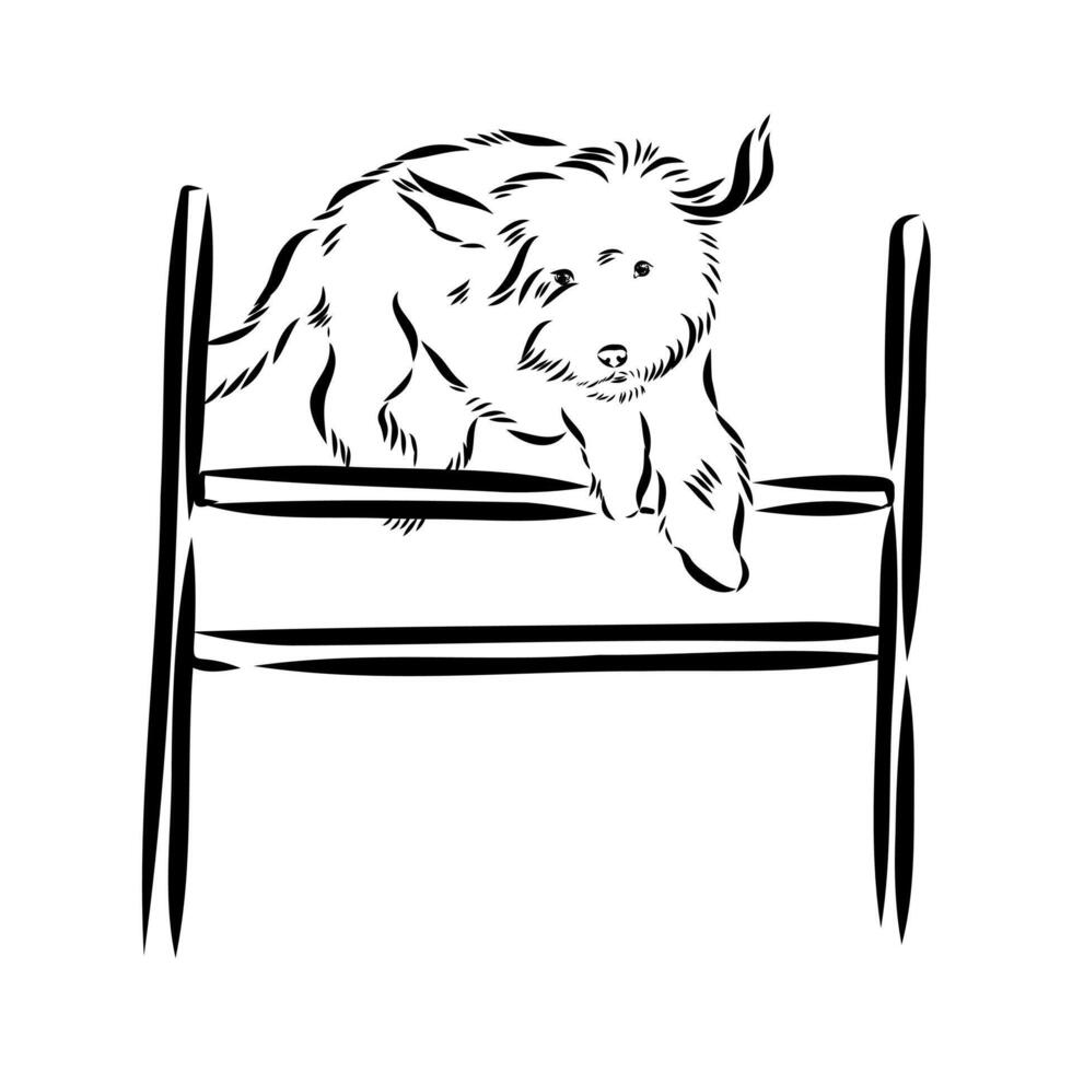 dog training sketch vector