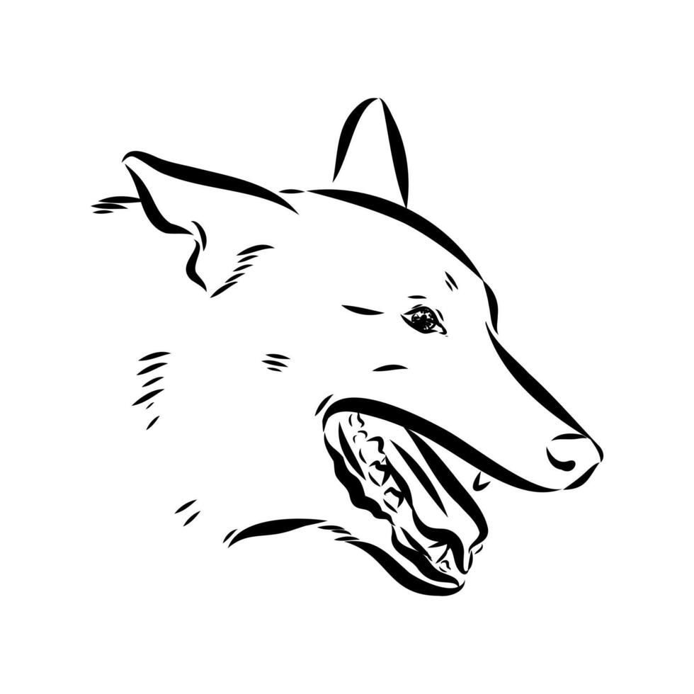 dog training sketch vector