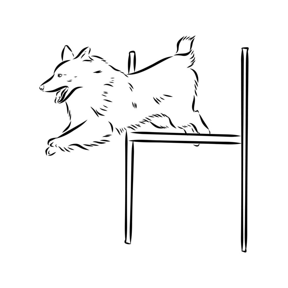 dog training sketch vector