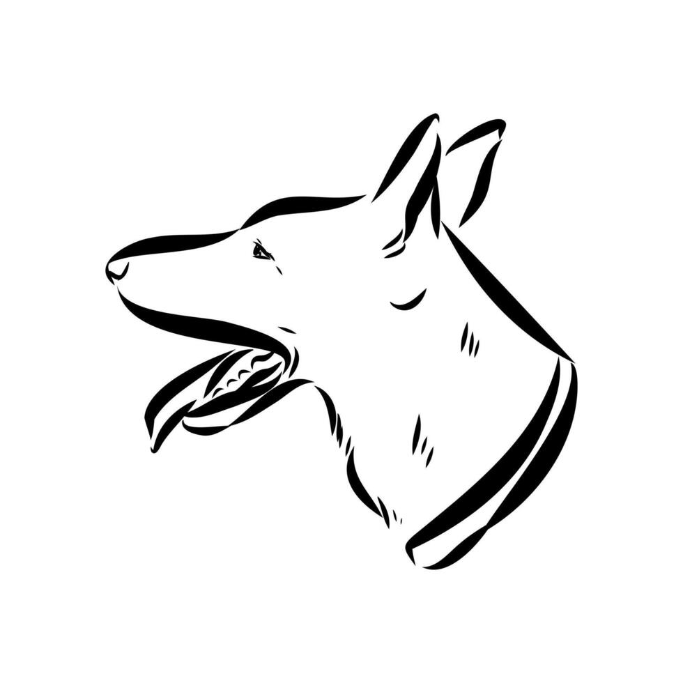 dog training sketch vector