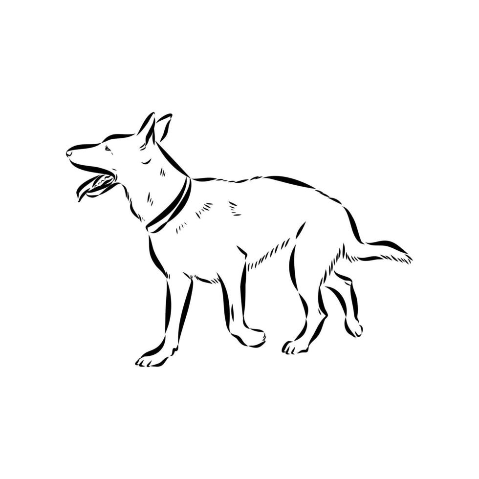 dog training sketch vector
