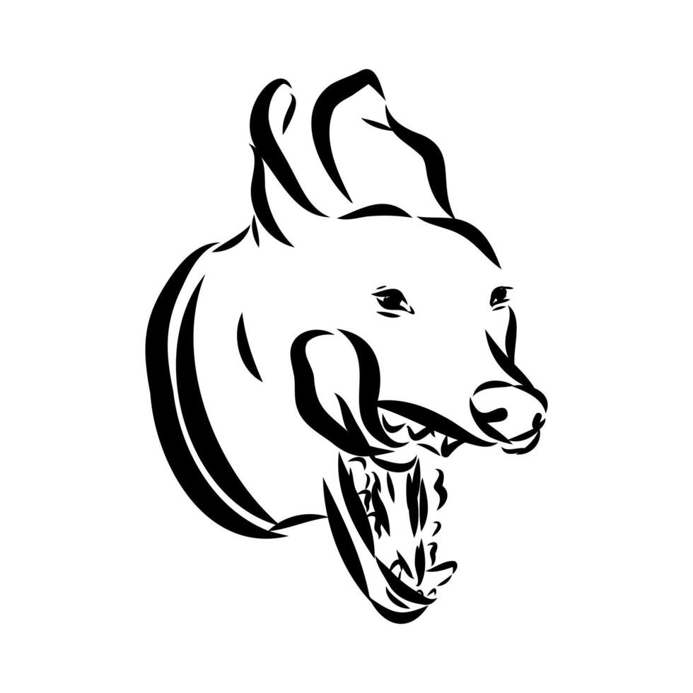 dog training sketch vector