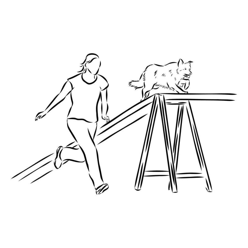 dog training sketch vector