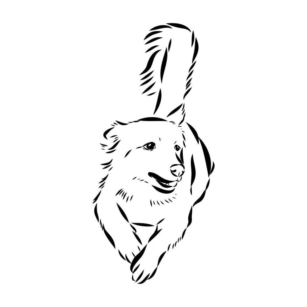 dog training sketch vector