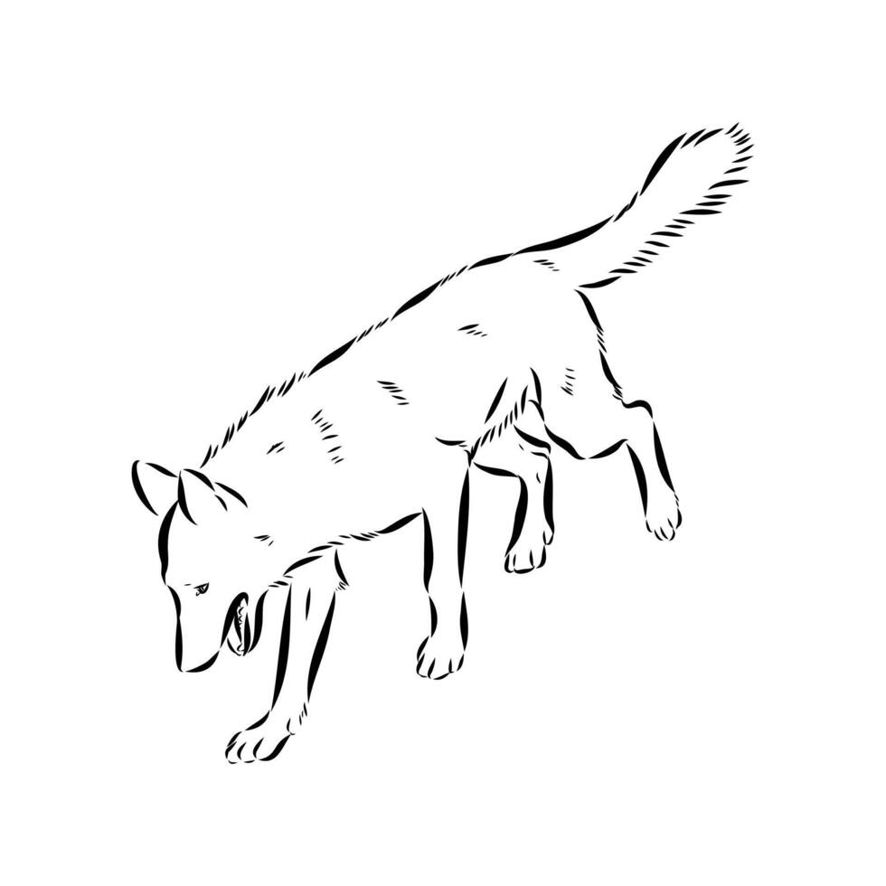 dog training sketch vector