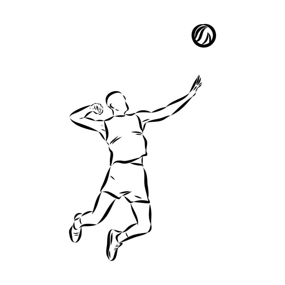 sports volleyball sketch vector
