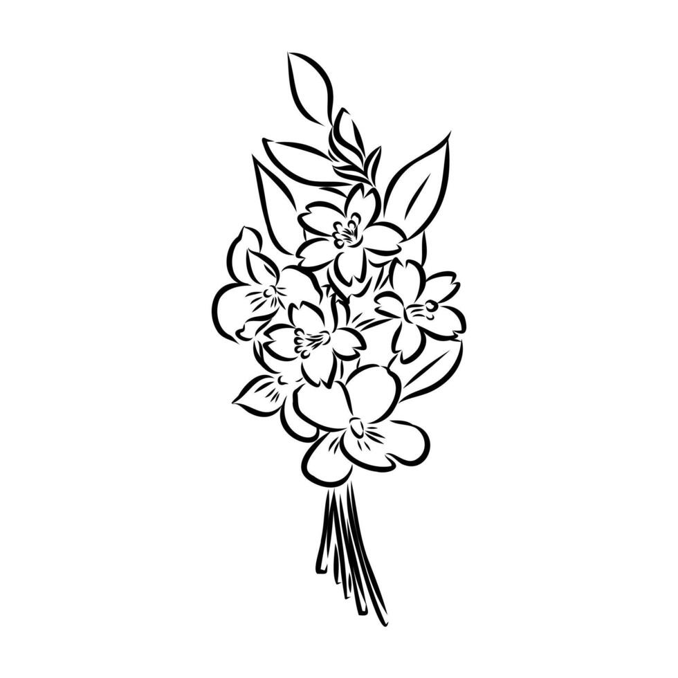 bouquet of flowers sketch vector