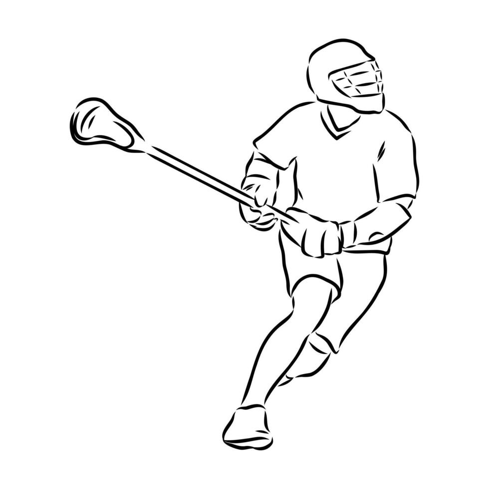 sports lacrosse sketch vector
