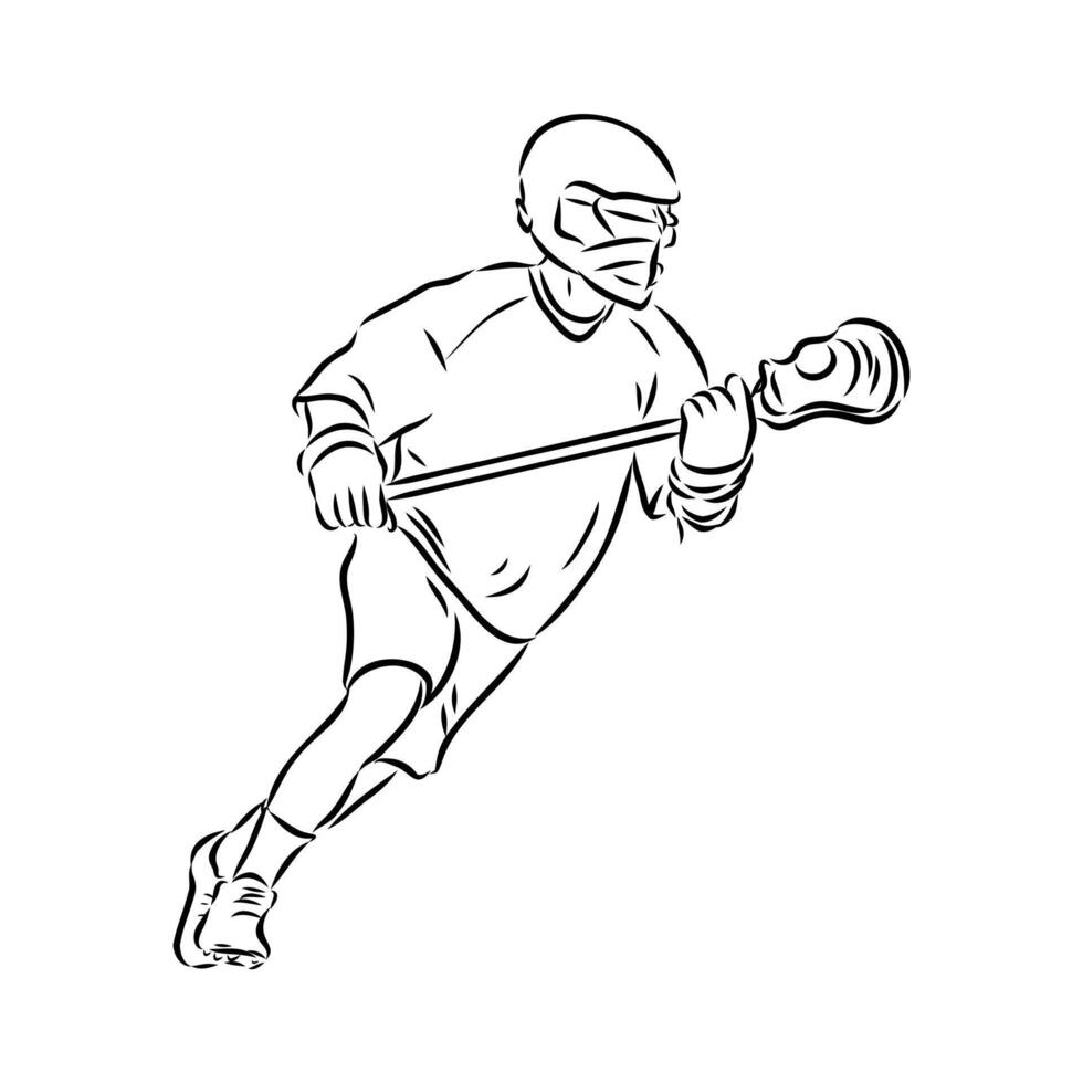 sports lacrosse sketch vector