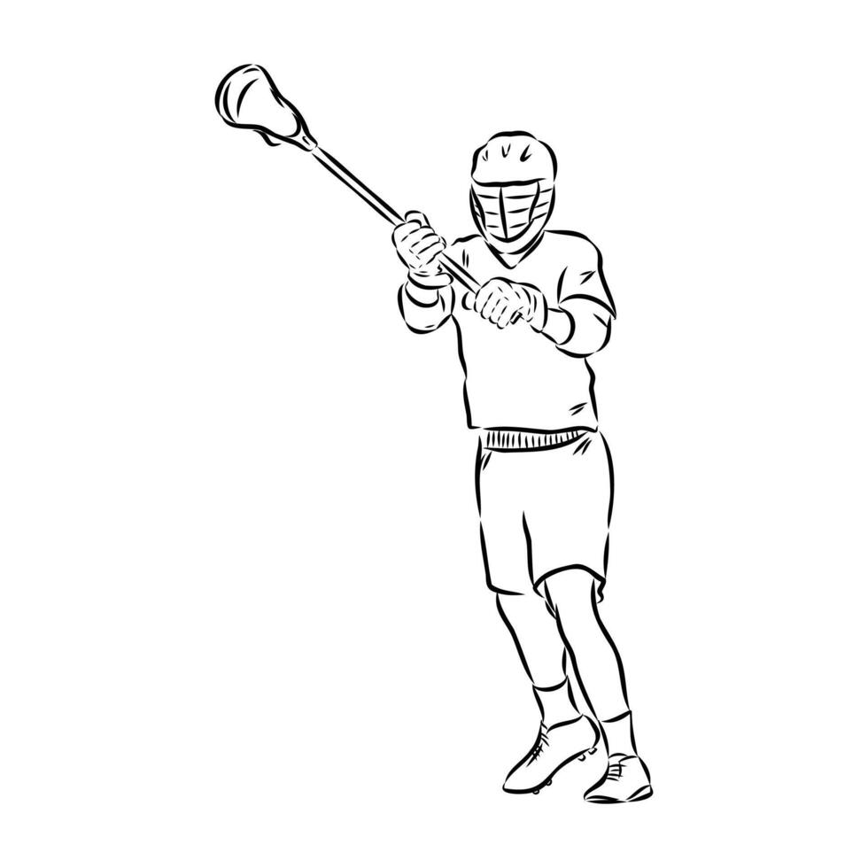 sports lacrosse sketch vector