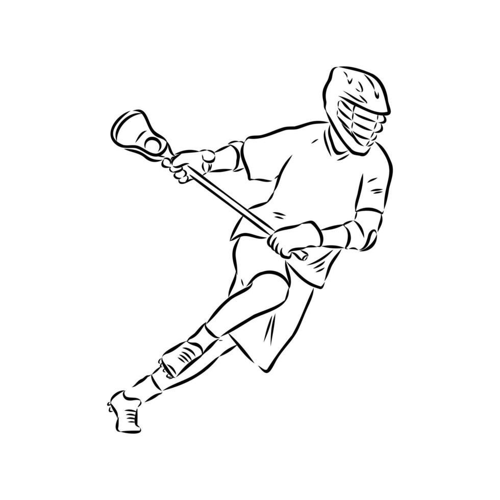 sports lacrosse sketch vector