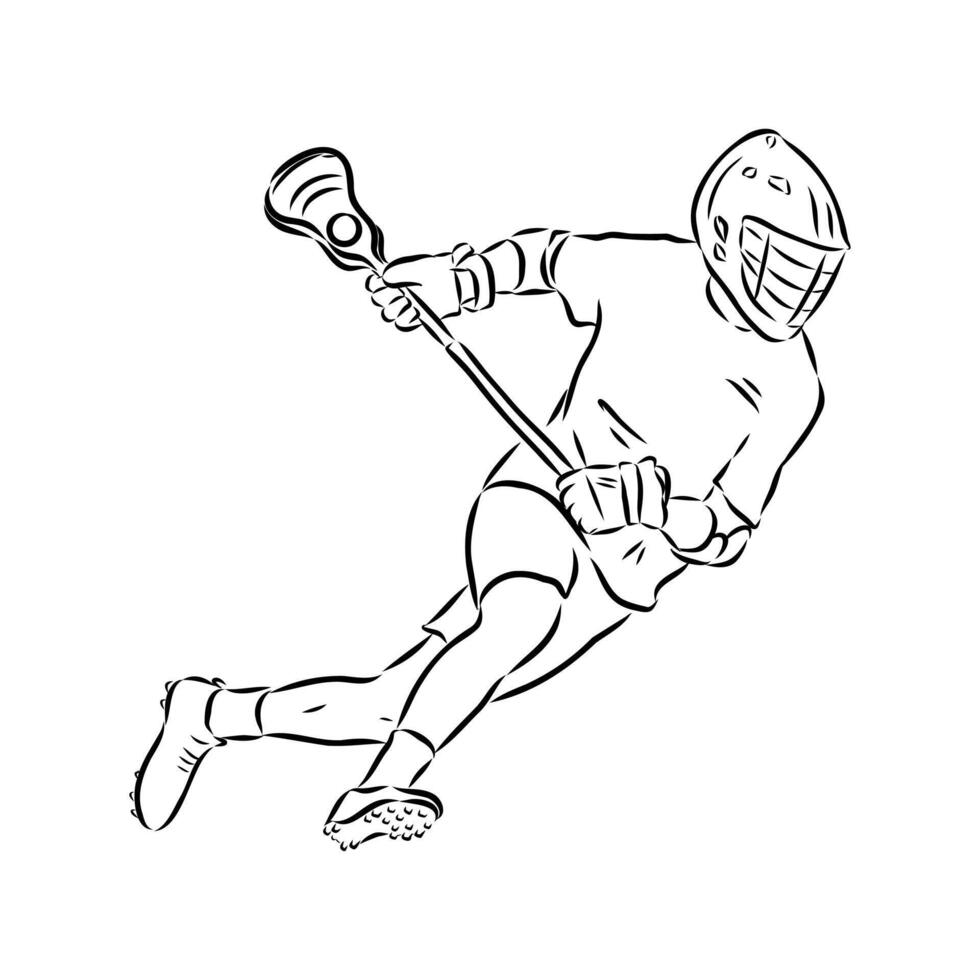 sports lacrosse sketch vector