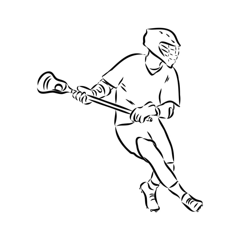 sports lacrosse sketch vector
