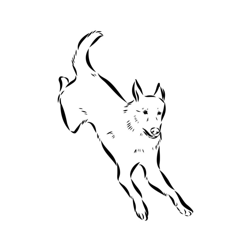 dog training sketch vector