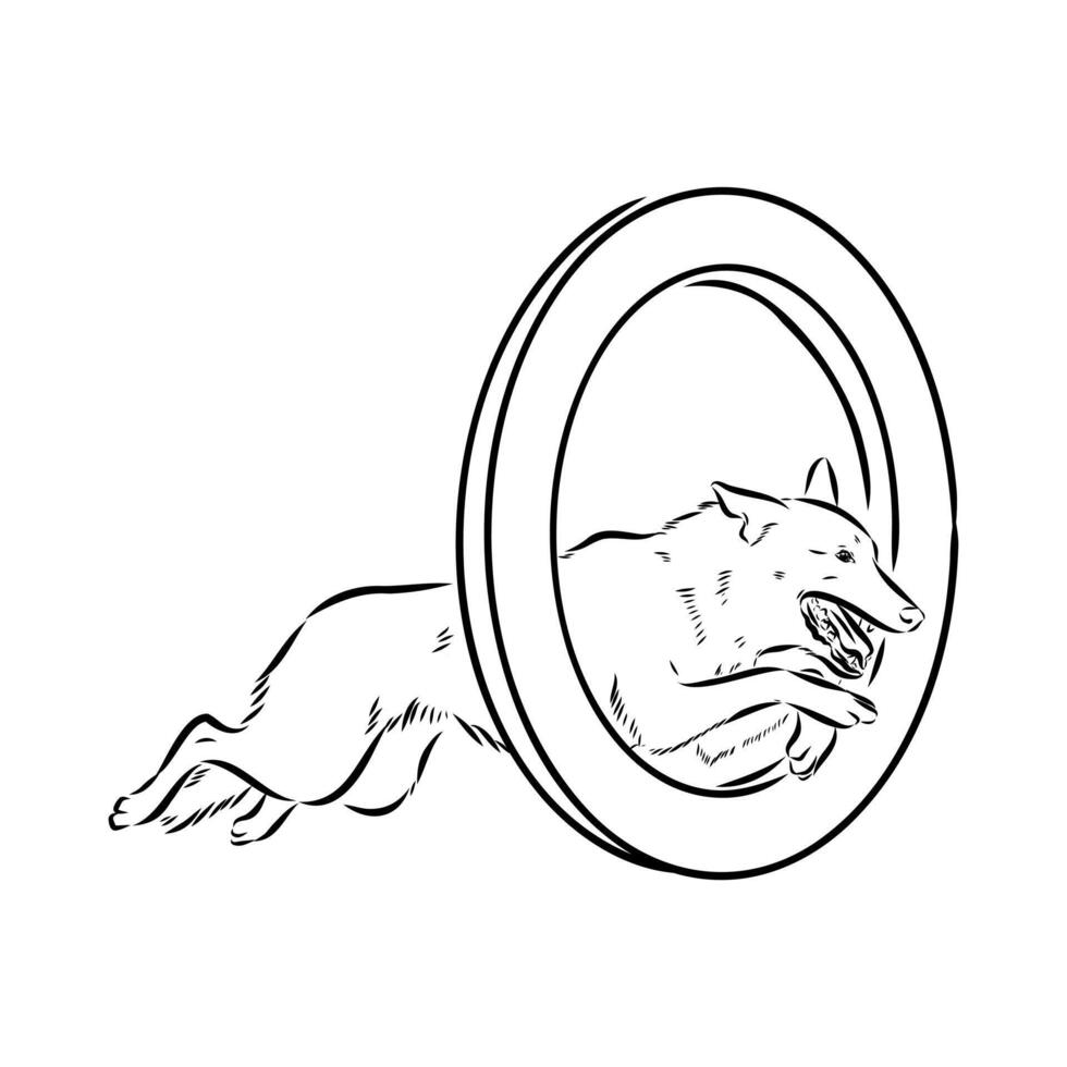 dog training sketch vector