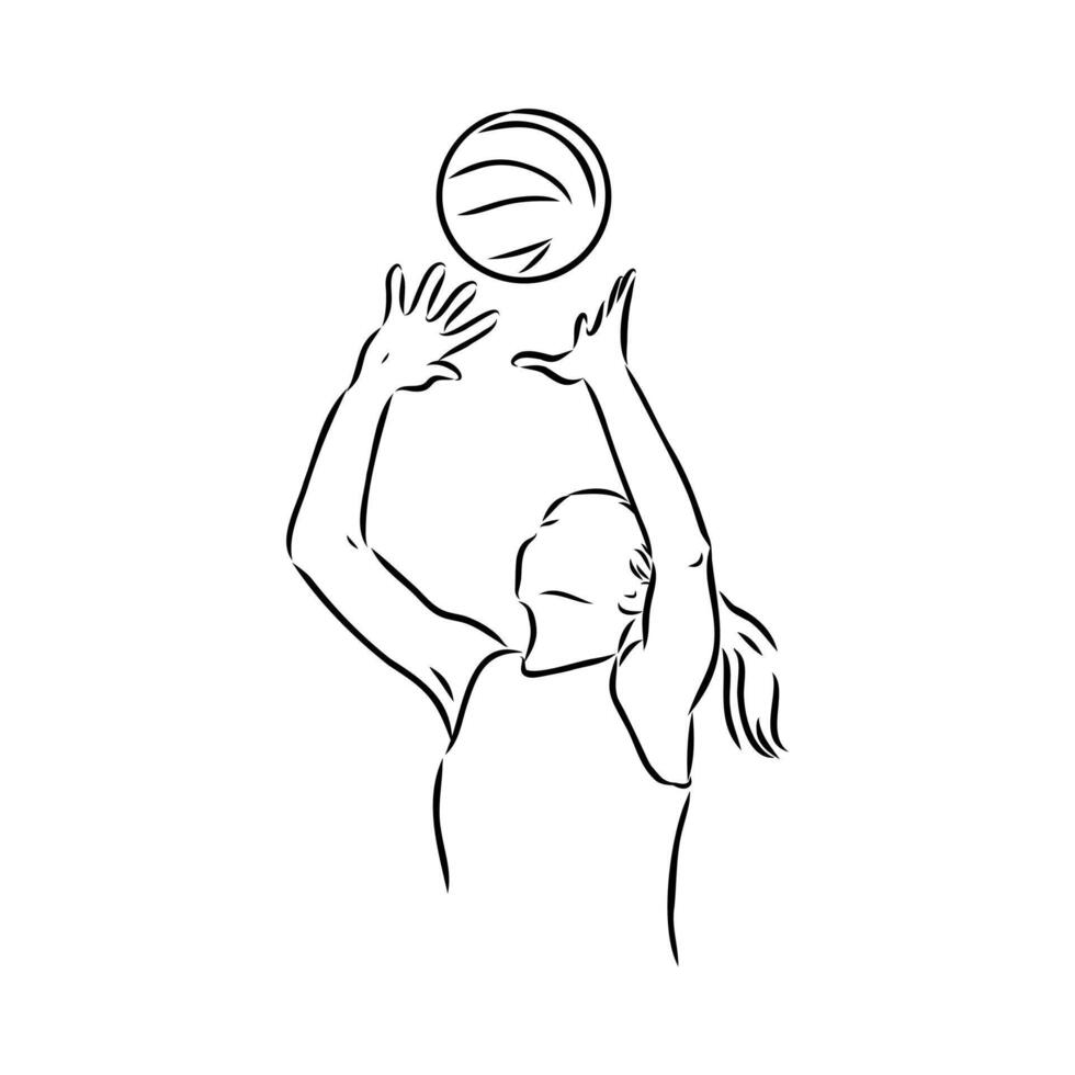 sports volleyball sketch vector