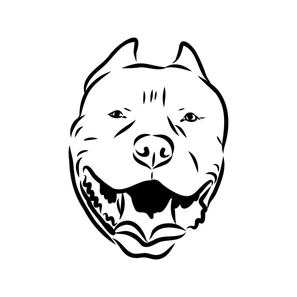 American bulldog sketch vector