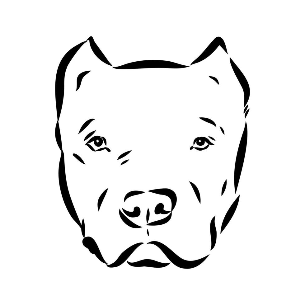 American bulldog sketch vector
