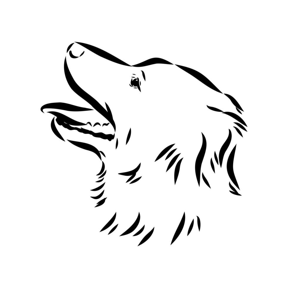 Alopecis dog sketch vector