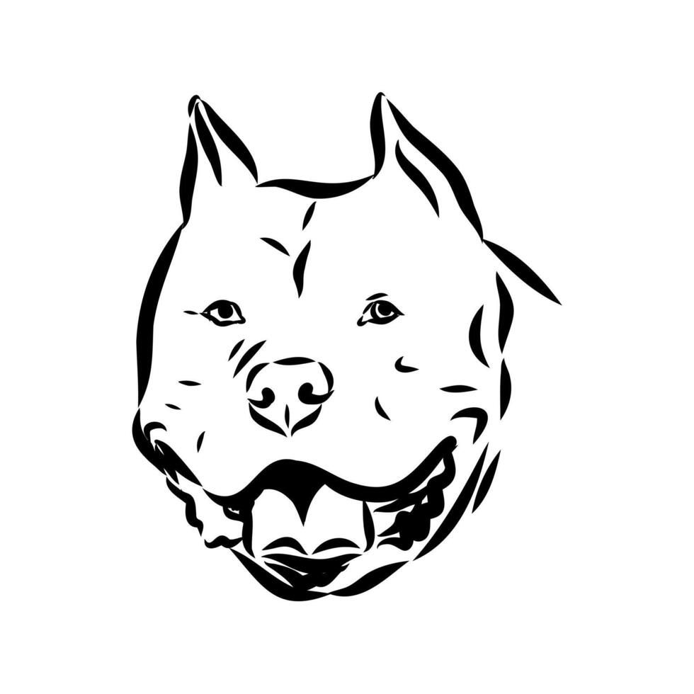American bulldog sketch vector