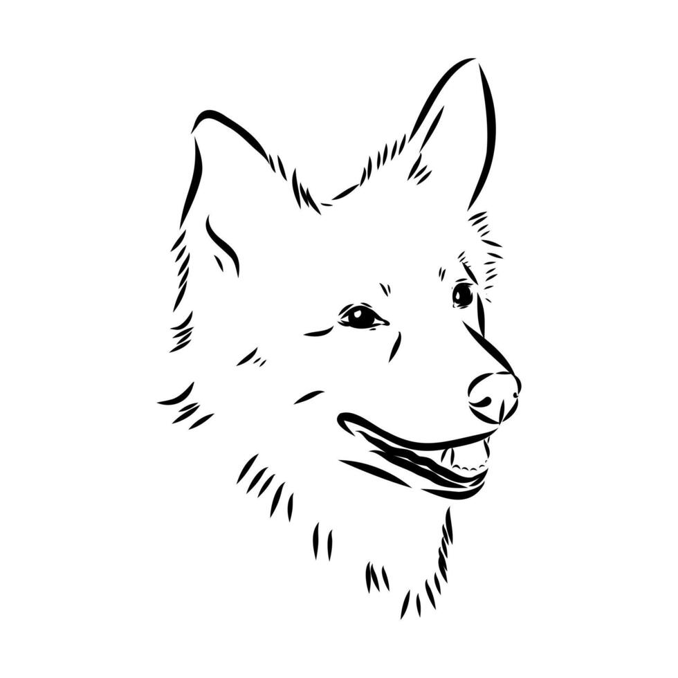 Alopecis dog sketch vector