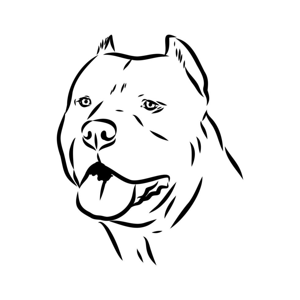 American bulldog sketch vector