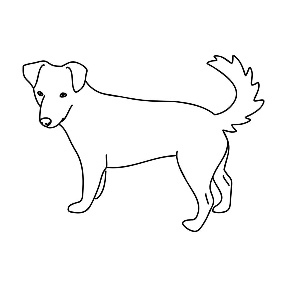 Alopecis dog sketch vector