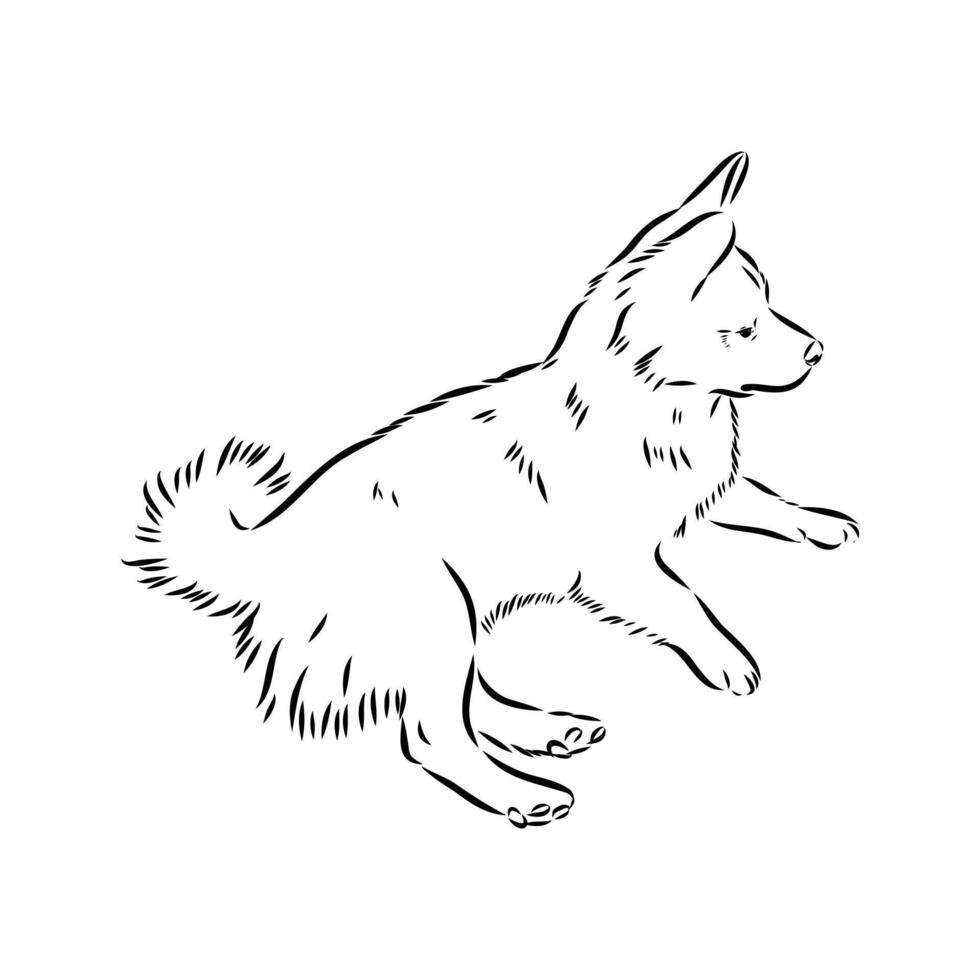 Alopecis dog sketch vector