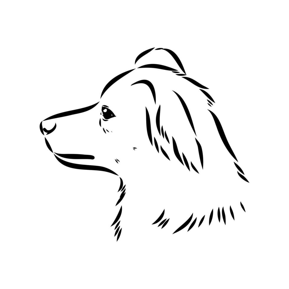 Alopecis dog sketch vector