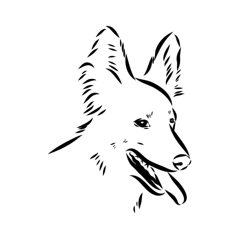 Alopecis dog sketch vector