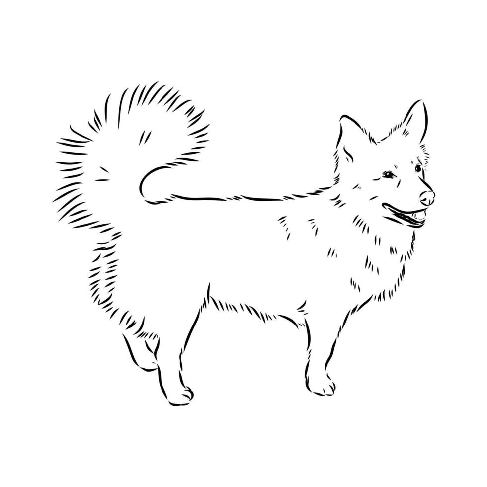Alopecis dog sketch vector