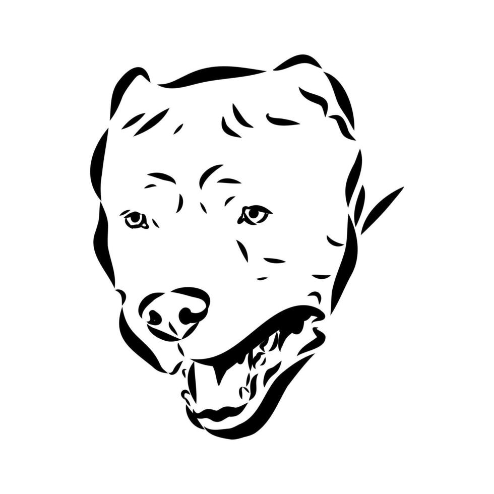 American bulldog sketch vector