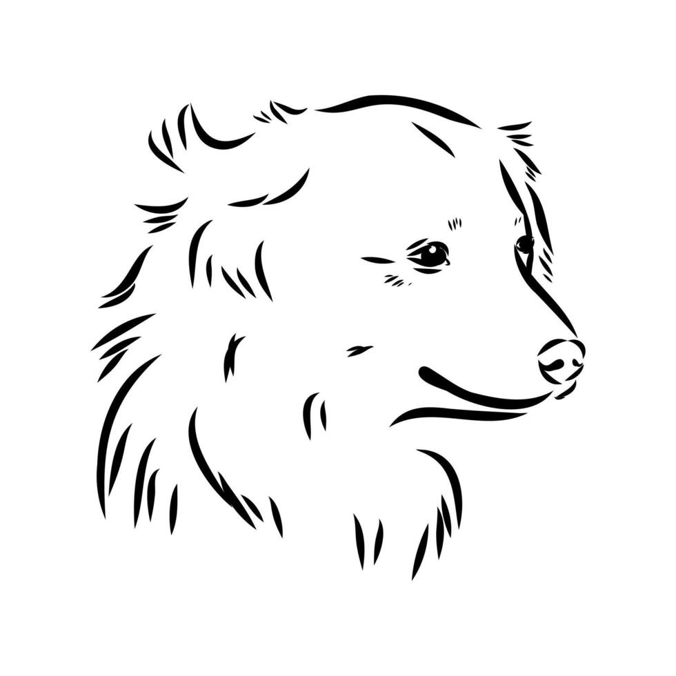 Alopecis dog sketch vector