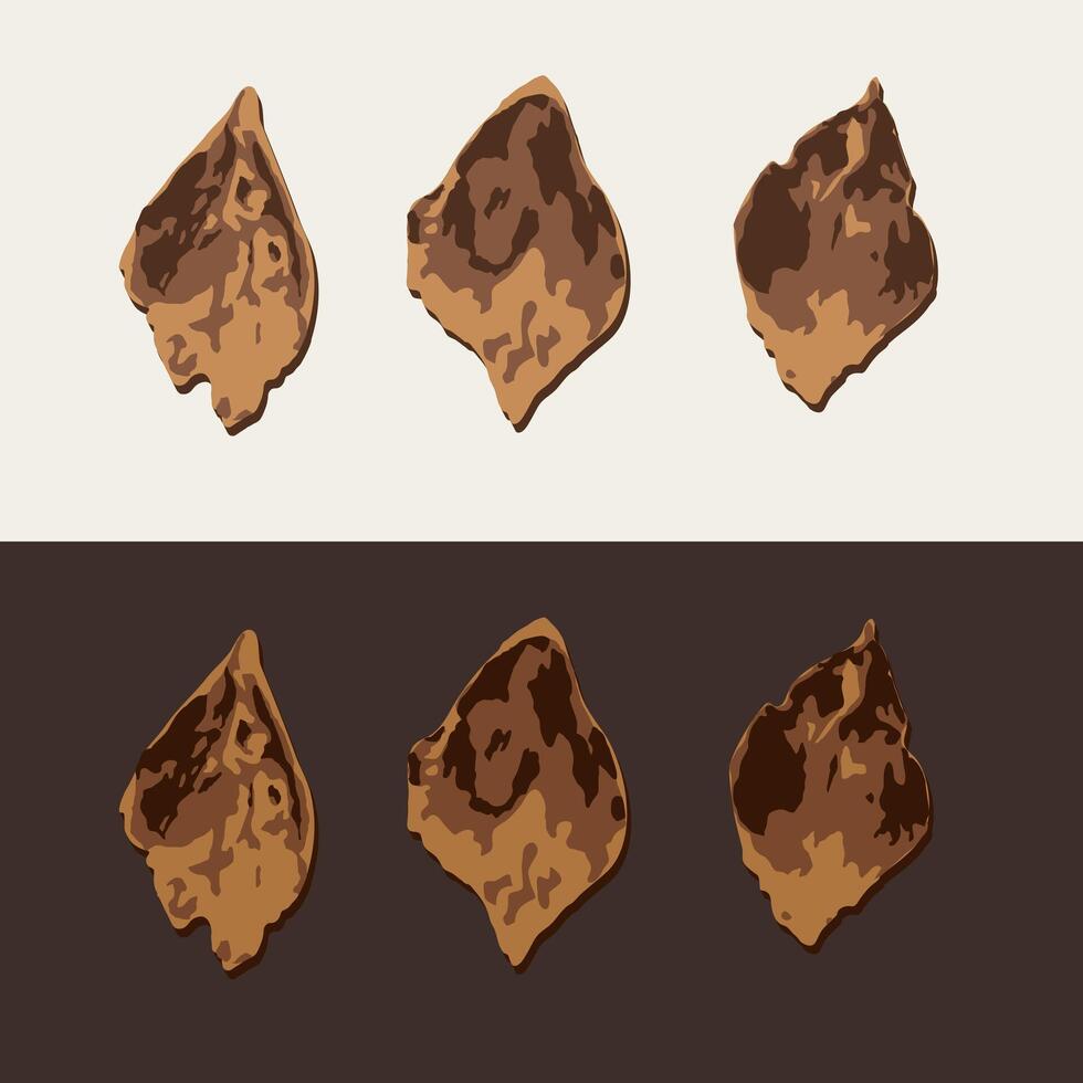 Scales, flakes of pine cone, spruce cone on black, white background. Image trace, cleaned and simplified illustration. Realistic style. Not AI. vector